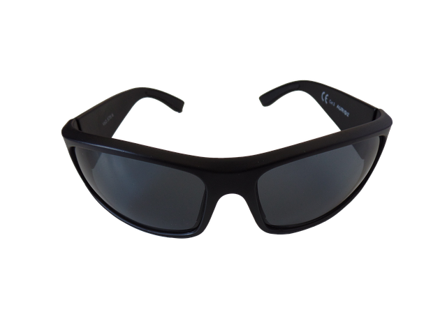 眼镜 太阳镜 保护眼睛 - 上的免费图片