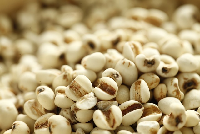 薏仁 中藥 中葯 - 上的免费照片