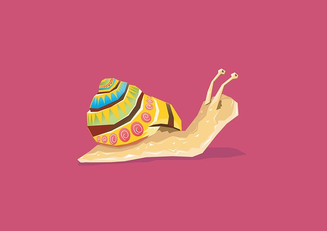 动物 蜗牛 壳 - 上的免费图片