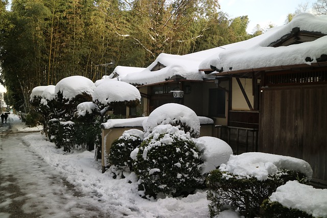 雪景 嵐山 - 上的免费照片