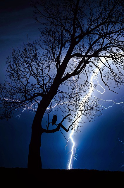 雷雨 闪电 天气 - 上的免费照片