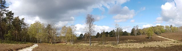 墙纸 双屏幕 异教徒 - 上的免费照片