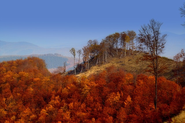 匈牙利 马特拉山 景观 - 上的免费照片