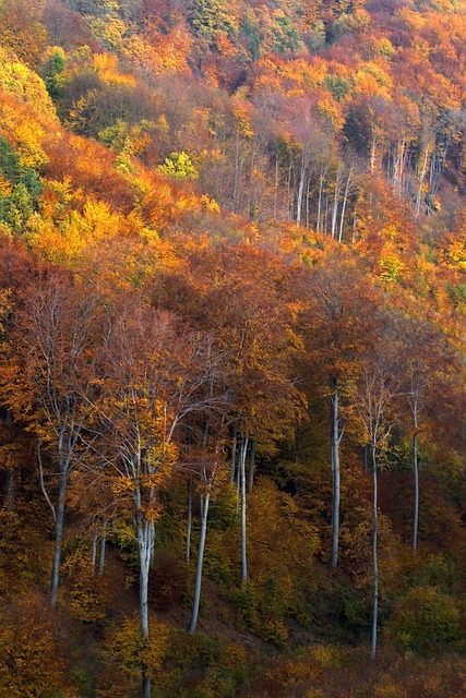 匈牙利 马特拉山 景观 - 上的免费照片