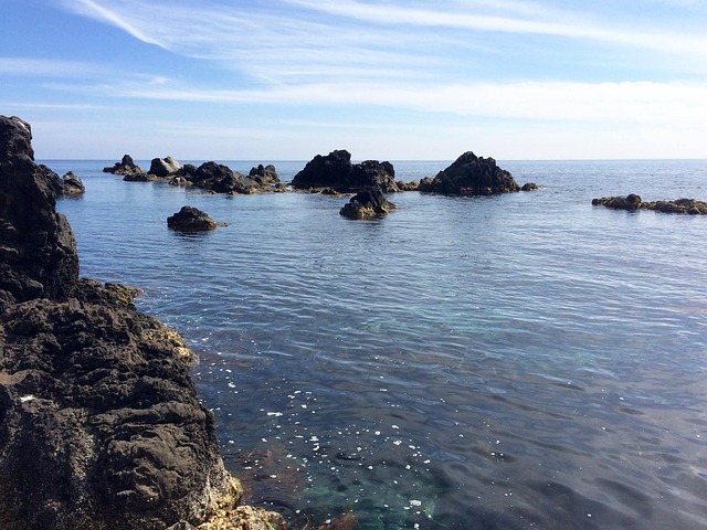 它的 文章是这样的 自然 - 上的免费照片