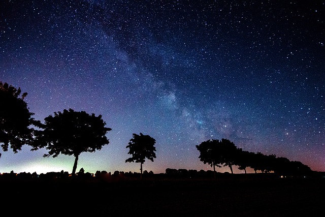 星星 银河系 树木 - 上的免费照片
