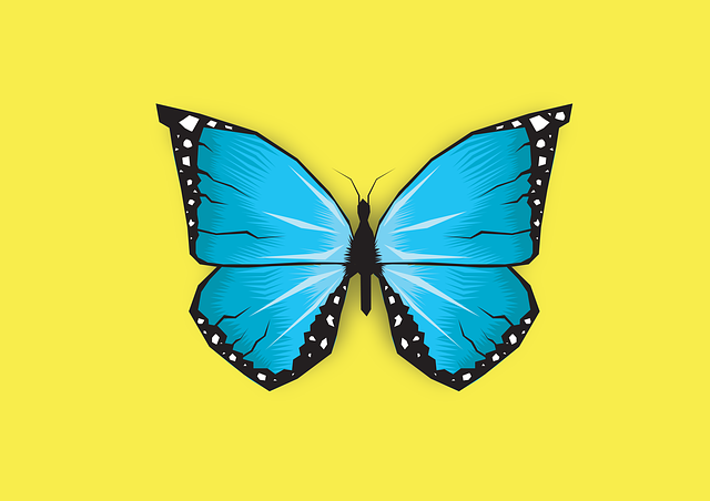 蝴蝶 蓝色的 乐趣 - 上的免费图片