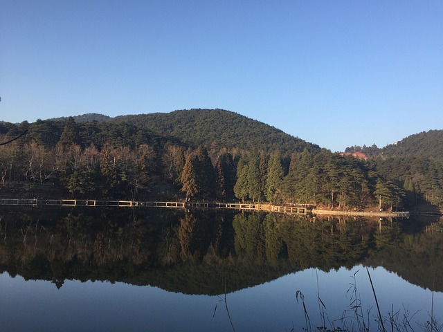 我家美丽的大庐山 真的是自然风光 - 上的免费照片