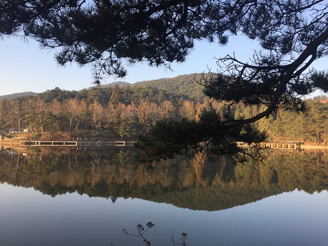 这也是我庐山拍摄的 水面很静很透彻 - 上的免费照片