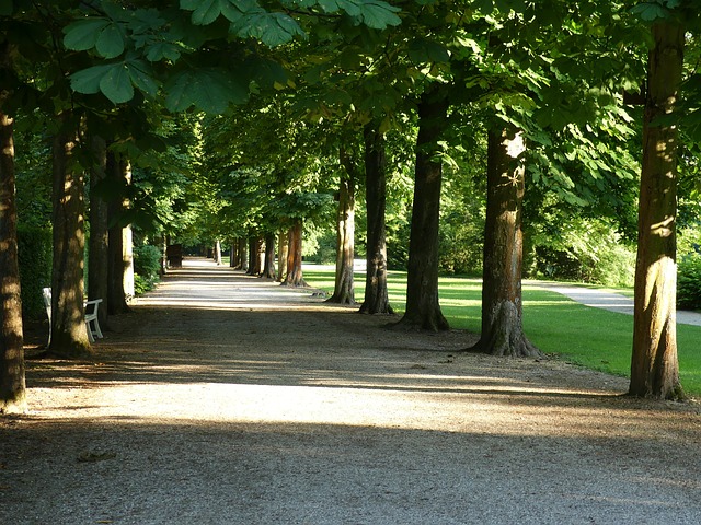城堡花园 Schwetzingen 宫廷花园 - 上的免费照片
