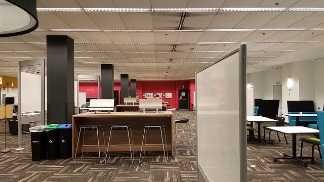 艾伦库 西雅图 大学华盛顿西雅图 - 上的免费照片