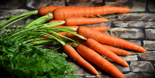 萝卜 蔬菜 收成 - 上的免费照片