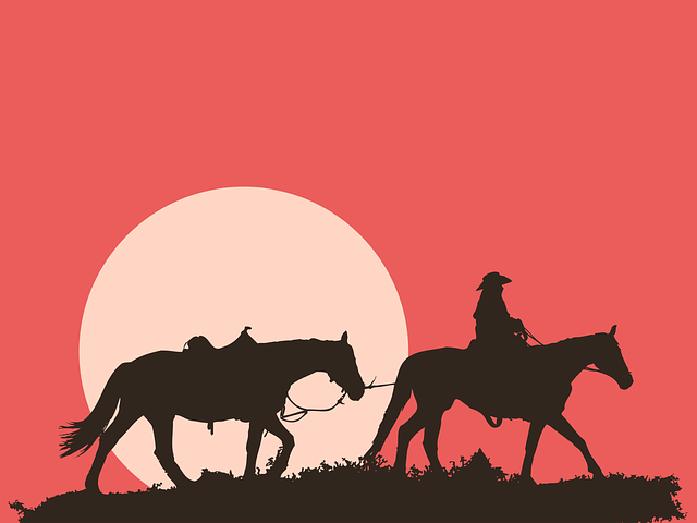 男子和马匹 日落 轮廓 - 免费矢量图形