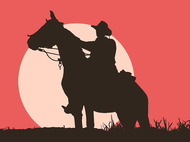 男子和马匹 日落 轮廓 - 免费矢量图形