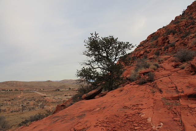 红色岩石 阿拉伯国家联盟 拉斯维加斯 - 上的免费照片