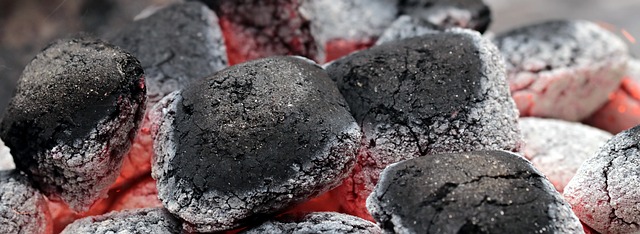 木炭 余烬 烧烤 - 上的免费照片