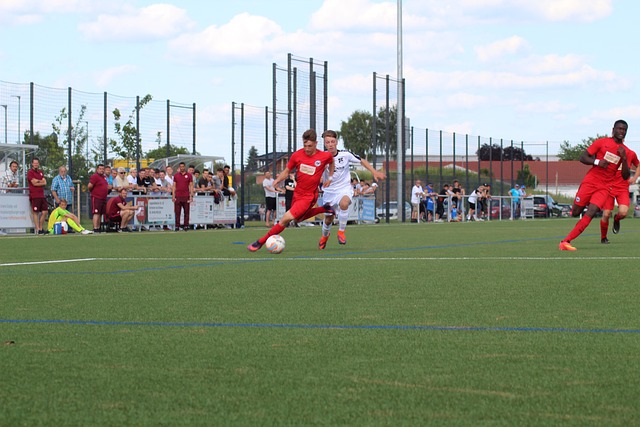 足球 运动的 球 - 上的免费照片