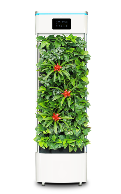 智能植物净化器 空气净化器 - 上的免费照片