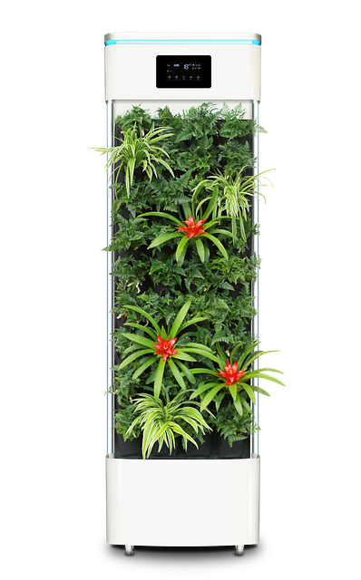 智能植物净化器 空气净化器 - 上的免费图片