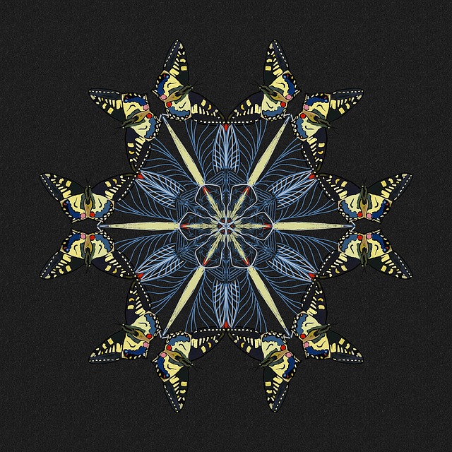 曼荼罗 蝴蝶 专注 - 上的免费图片