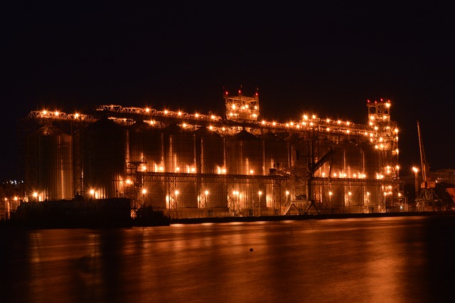 终端 粮 谷物 - 上的免费照片