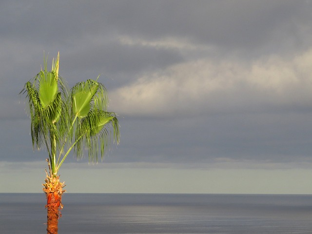 自然 海滩 Las Palmas De Gran - 上的免费照片