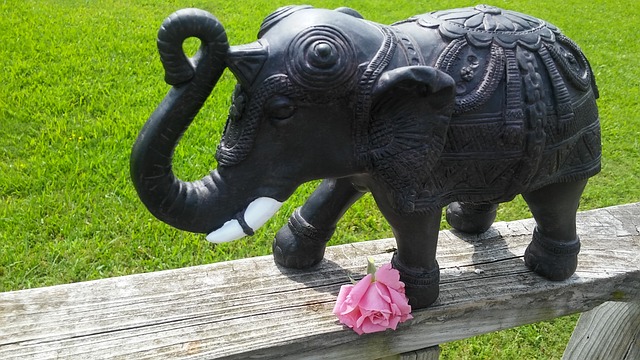 象征性的 大象 粉红玫瑰 - 上的免费照片