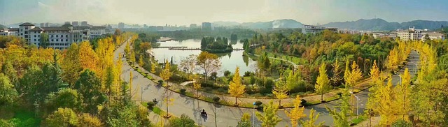 Wo De Da - 上的免费照片