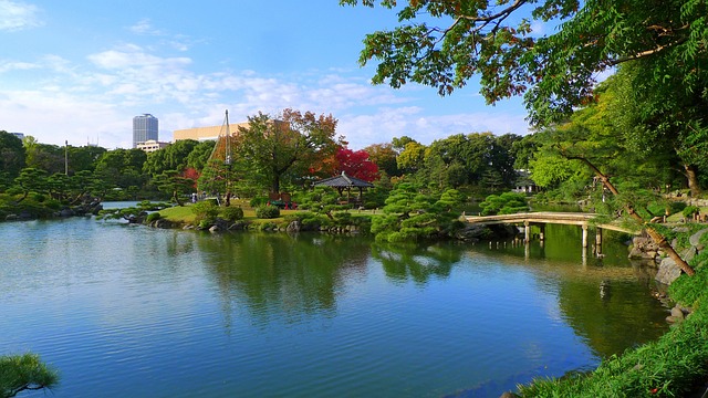 清澄庭園 水 日本 - 上的免费照片