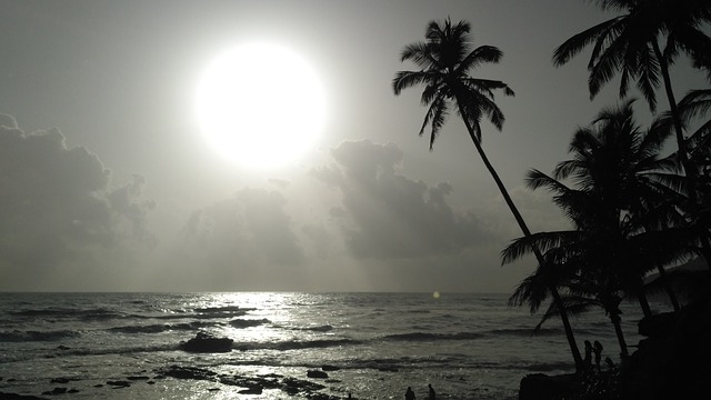 海滩 太阳 阿拉伯海 - 上的免费照片