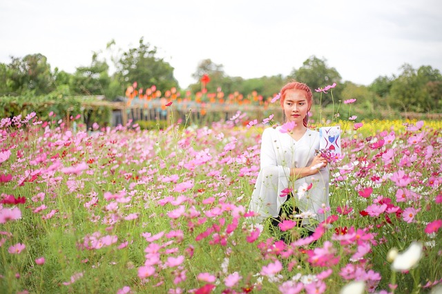 花 Vega - 上的免费照片