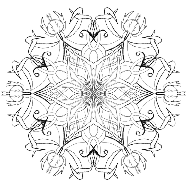 曼陀罗的循环 混合 吞噬 - 上的免费图片
