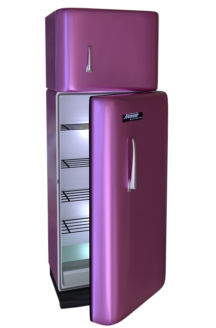 冰箱 冷冻柜 冰箱、冰柜 - 上的免费图片