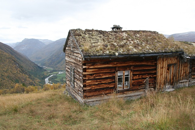 Dorvefjell 挪威 - 上的免费照片