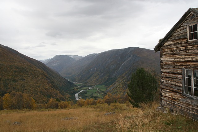 Dorvefjell 挪威 - 上的免费照片
