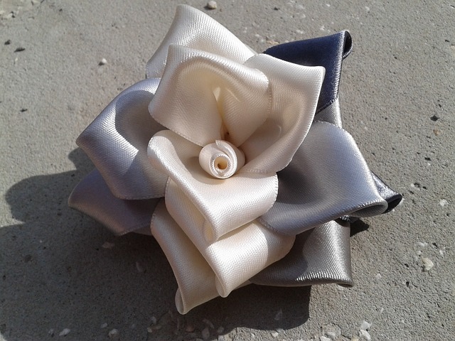 簪 玫瑰 白色的 - 上的免费照片