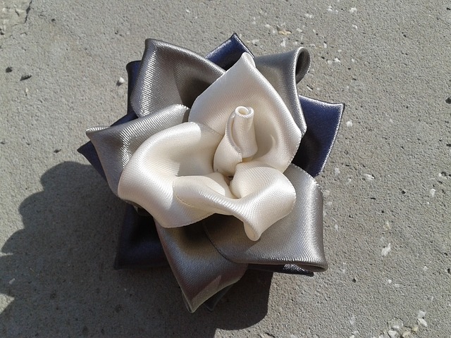 簪 玫瑰 白色的 - 上的免费照片