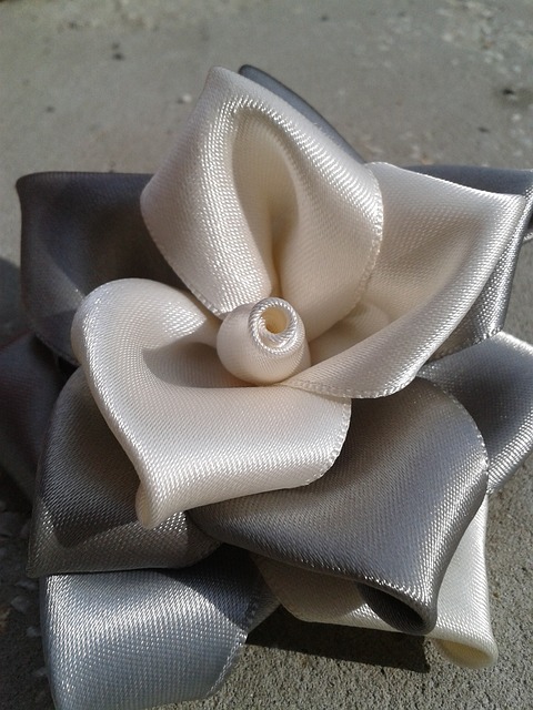 簪 玫瑰 白色的 - 上的免费照片