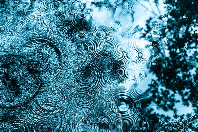 雨 滴 界 - 上的免费照片