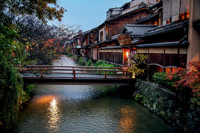 京都 秋季 秋季树叶 - 上的免费照片
