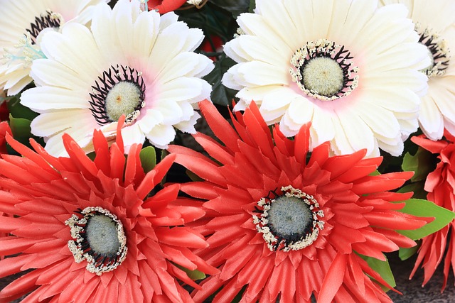 黑山 波德戈里察 公墓 - 上的免费照片