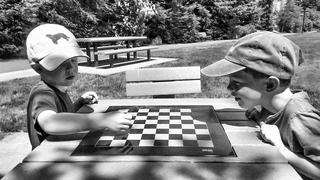 公园 阳光明媚 棋 - 上的免费照片