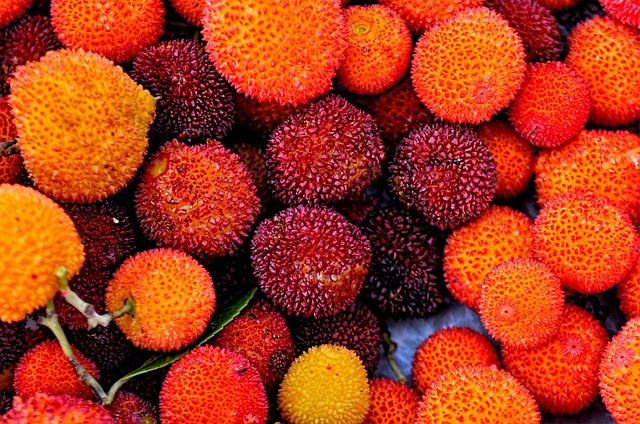 秋天 囊 Doburca - 上的免费照片