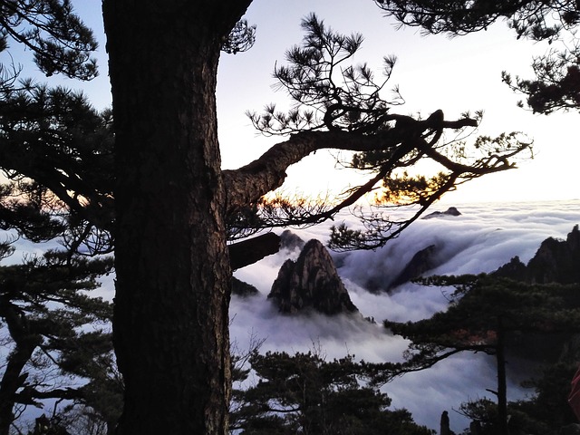 Mountain Huangshan China Sights - 上的免费照片