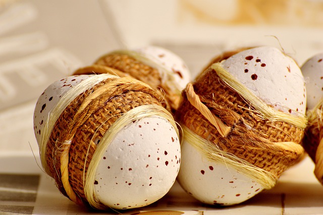 蛋 发泡胶 电源线 - 上的免费照片