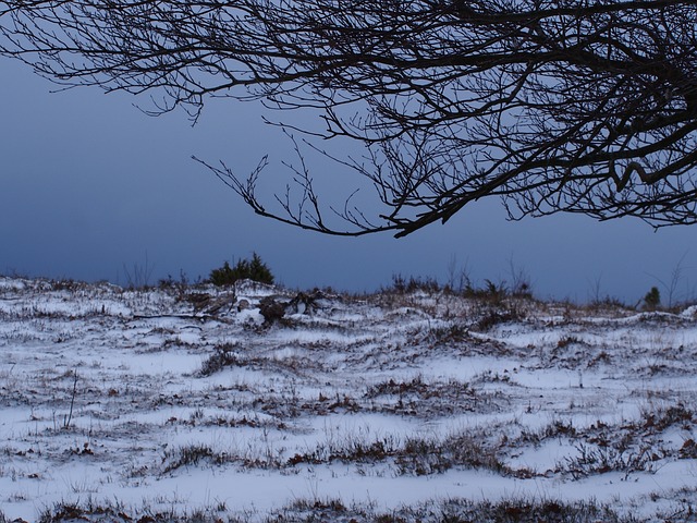 雪 冬天 大自然 - 上的免费照片