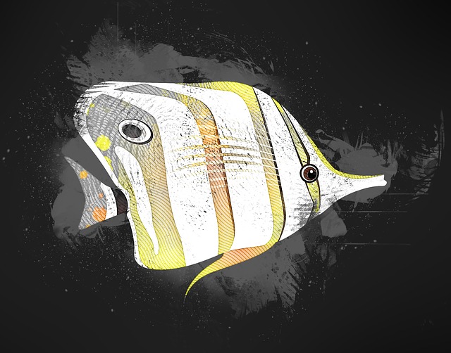 鱼 黄色 动物 - 上的免费图片