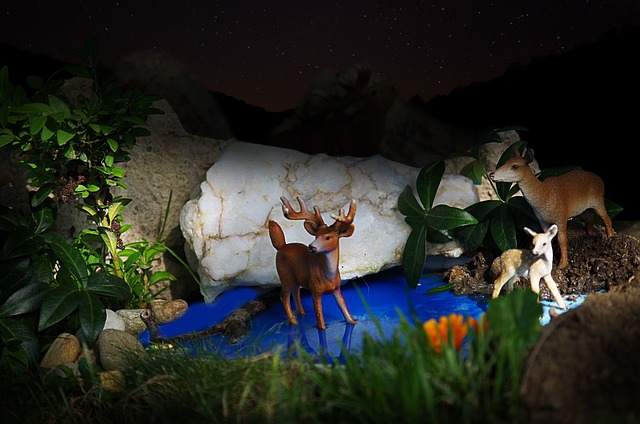 这个动物 玩具 静物 - 上的免费照片