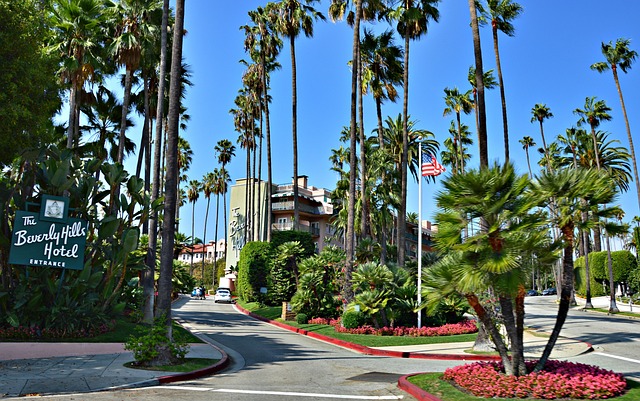 贝弗利山饭店 美国 加利福尼亚州 - 上的免费照片