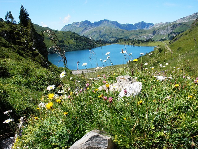湖 阿尔卑斯山 英格堡 - 上的免费照片
